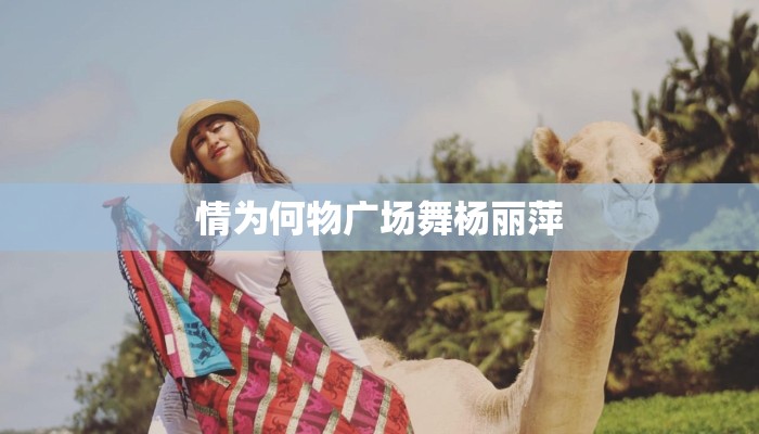 情为何物广场舞杨丽萍 情为何物广场舞杨丽萍