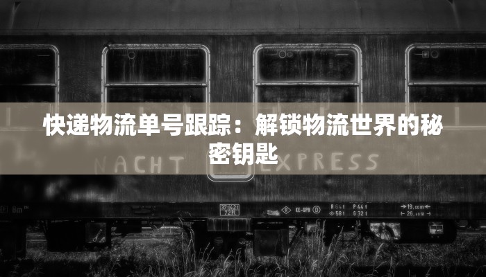 快递物流单号跟踪：解锁物流世界的秘密钥匙