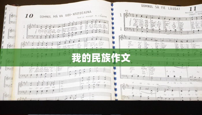 我的民族作文